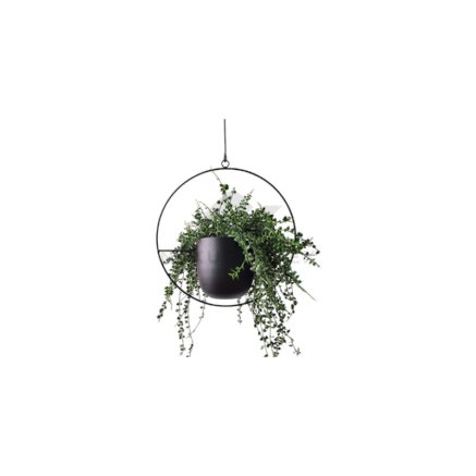 Image_16-Photoroom