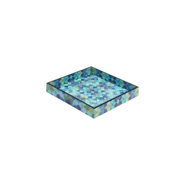 Tray